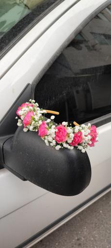 عکس گلفروشی گل گندم 