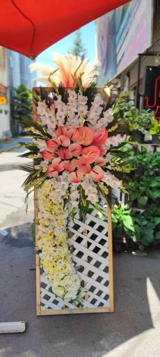 عکس گلفروشی گل گندم 