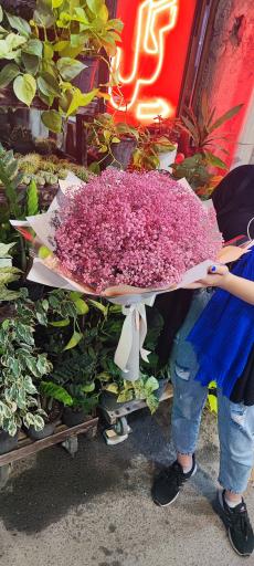 عکس گلفروشی گل گندم 