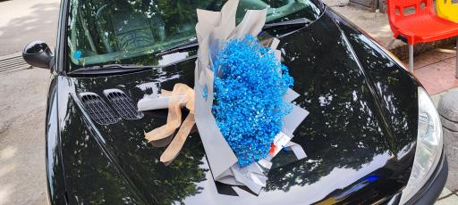 عکس گلفروشی گل گندم 