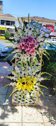 عکس گلفروشی گل گندم 