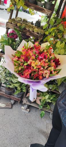 عکس گلفروشی گل گندم 