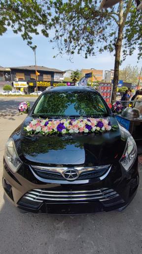 عکس گلفروشی گل گندم 