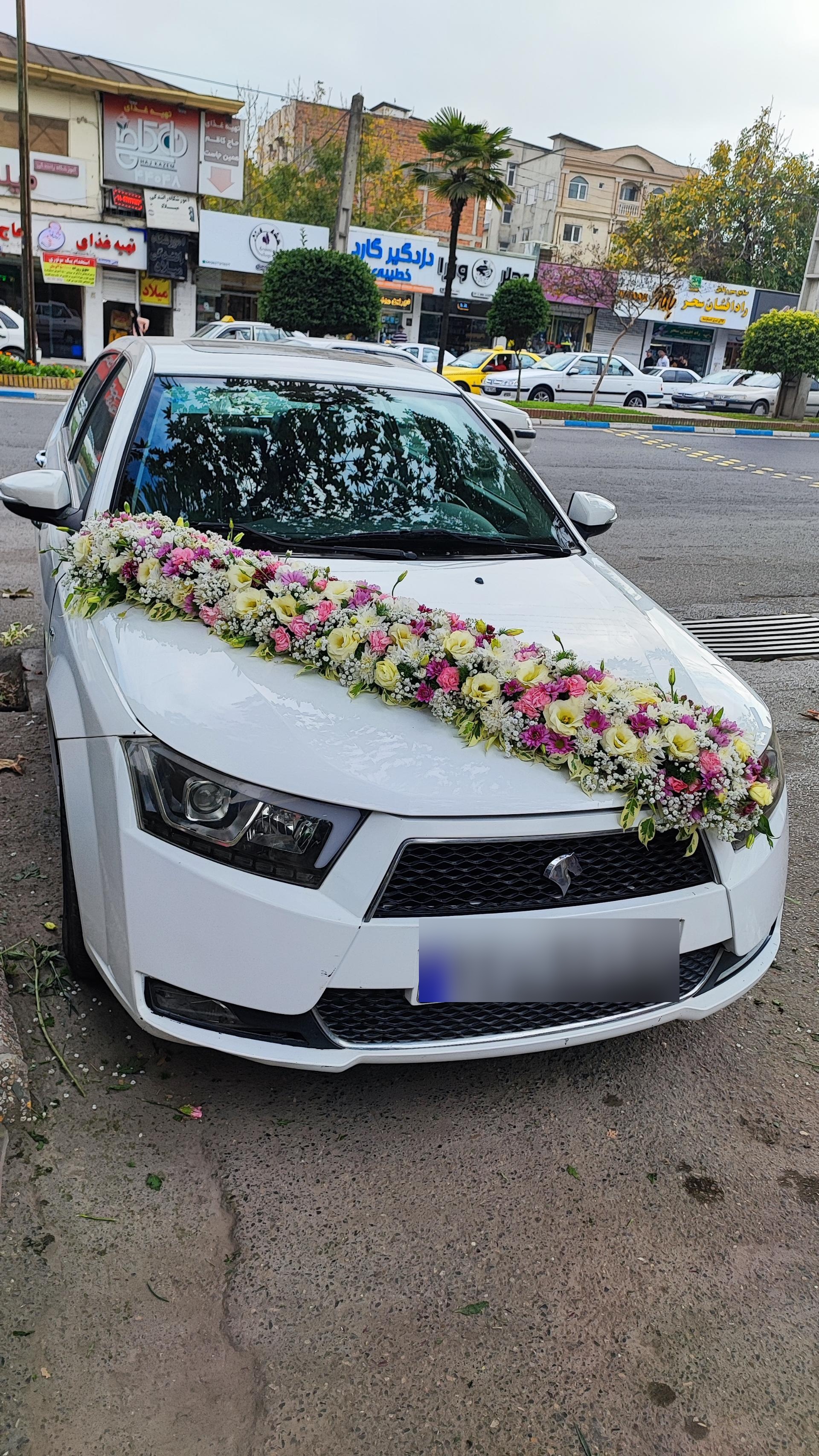 عکس گلفروشی گل گندم 