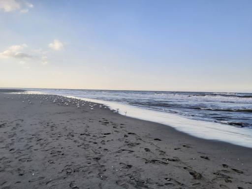 عکس ساحل ماسه ای ریتون