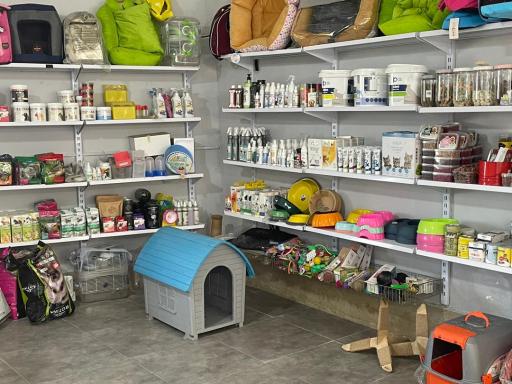 کلینیک دامپزشکی حیوانات خانگی و پرندگان زینتی هما