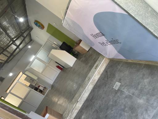 عکس کلینیک دامپزشکی حیوانات خانگی و پرندگان زینتی هما