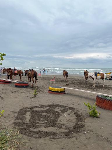 عکس ساحل ماسه ای ریتون