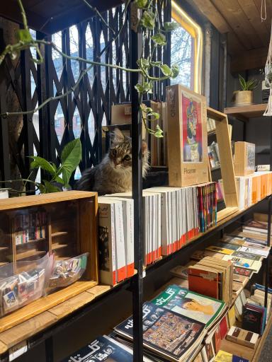 عکس کتابفروشی حلزون