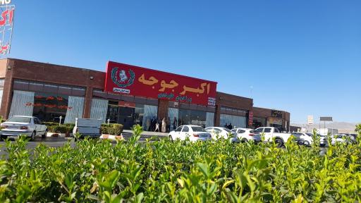 عکس اکبرجوجه کلبادی 