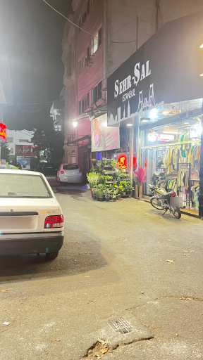 عکس گلفروشی گل گندم 