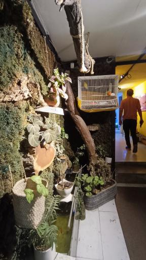 عکس موسسه هنرهای نمایشی شمایل