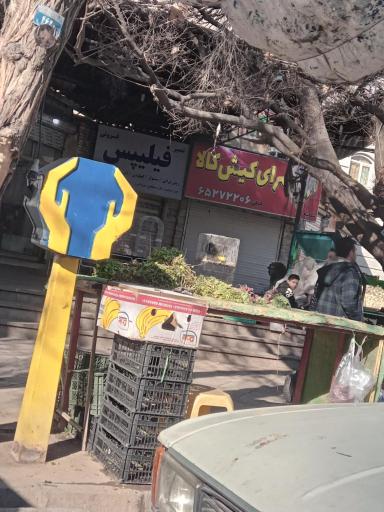 عکس کیش کالا