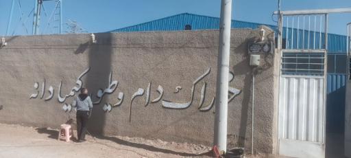 عکس خوراک دام کیمیادانه