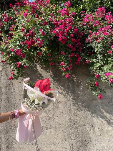 عکس گل فروشی نیشا