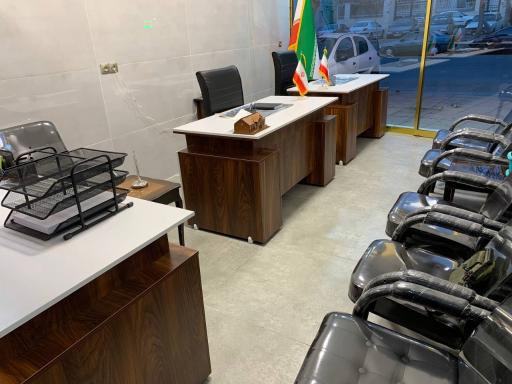 عکس مشاور املاک منیری