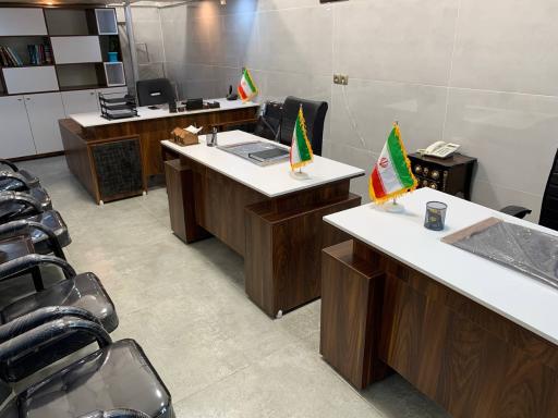 عکس مشاور املاک منیری