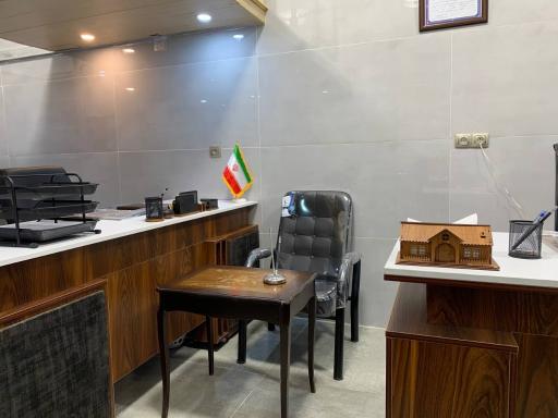 عکس مشاور املاک منیری