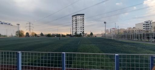 زمین چمن غروی