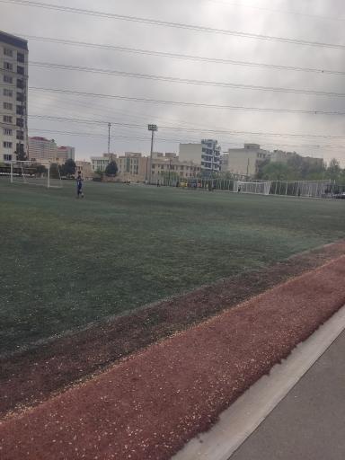 عکس زمین چمن غروی