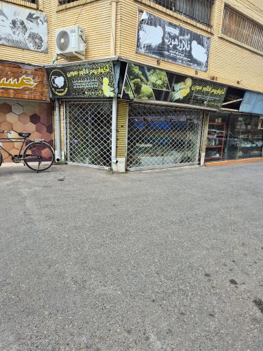 عکس آکواریوم فلاور هورن