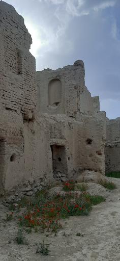 عکس ایزدخواست