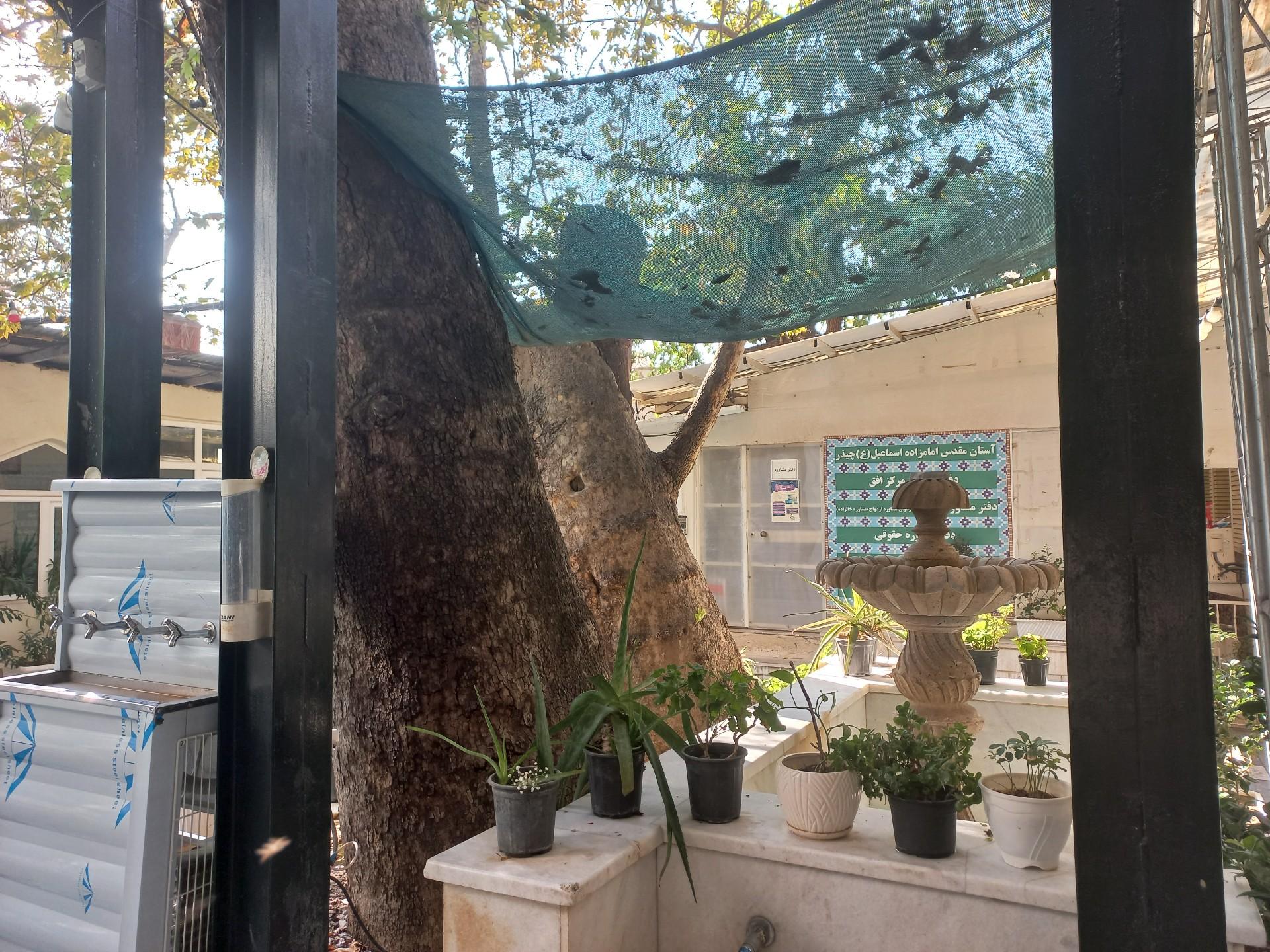 عکس امامزاده اسماعیل