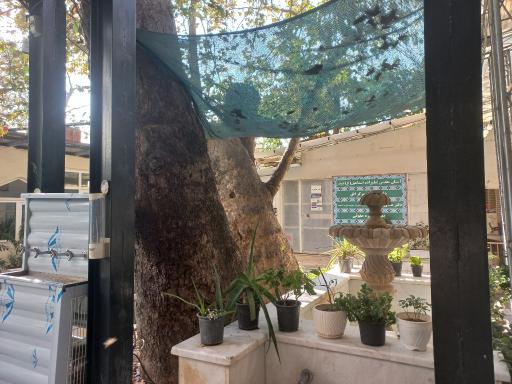 عکس امامزاده اسماعیل