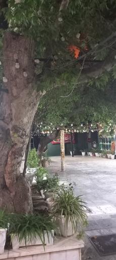 عکس امامزاده اسماعیل