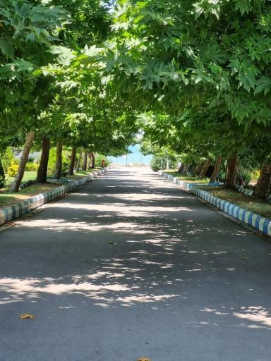 عکس دانشگاه صنعت نفت - دانشکده علوم دریایی محمودآباد