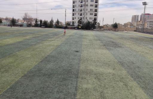 عکس زمین چمن غروی