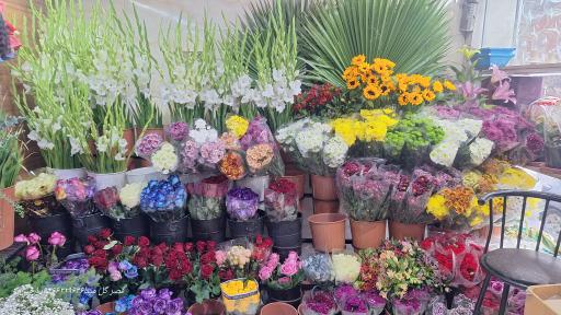 قصر گل مینا