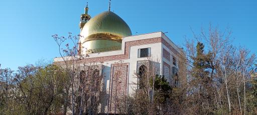 عکس مسجد انصار الحسین