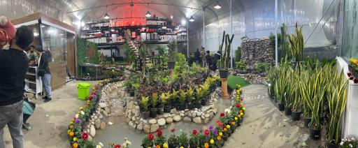 عکس فروشگاه گل و گیاه گلستان یاس