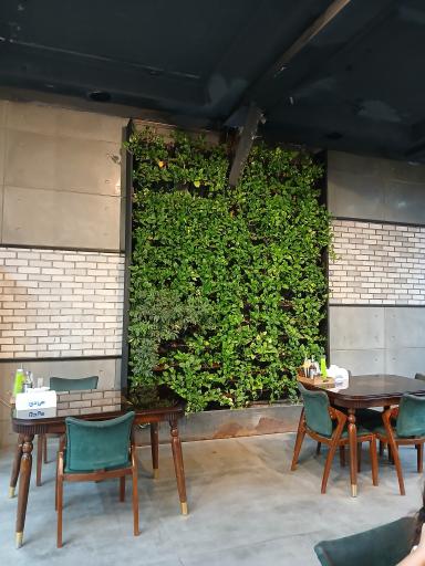 عکس طباخی احمد