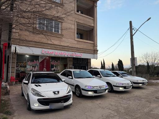 عکس باتری فروشی صدرا