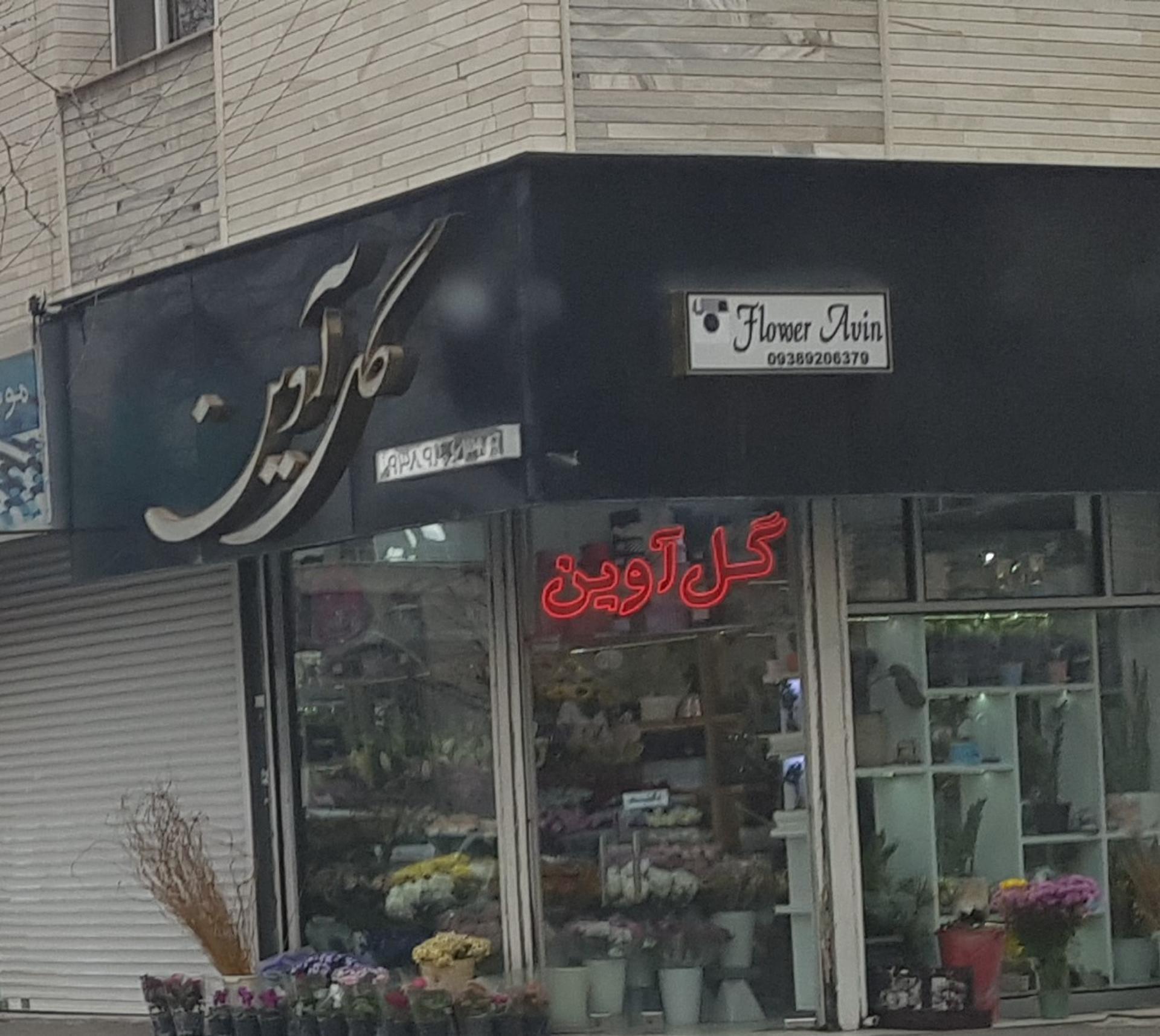 عکس گل آوین