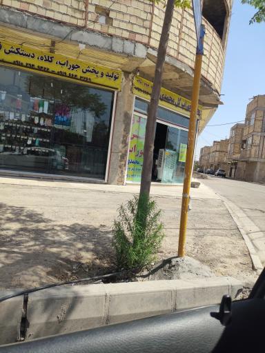 تولید و پخش جوراب