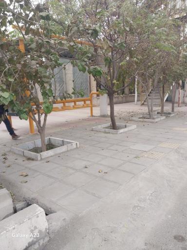 عکس دانشگاه پردیس