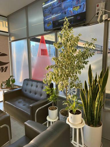 عکس نمایندگی فروش و خدمات پس از فروش تویوتا