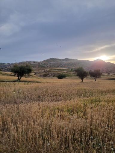 عکس مسجد سلیمان