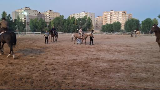 عکس باشگاه سوارکاری عقاب