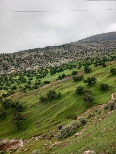 عکس مسجد سلیمان