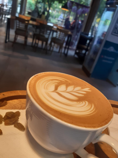 عکس خونه حافظ