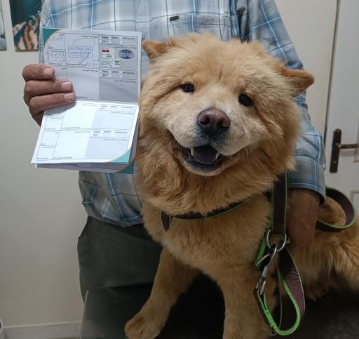 عکس کلینیک دامپزشکی نیکان