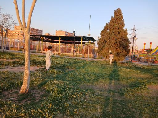 عکس شهربازی شقایق