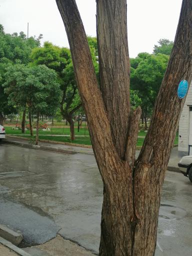 عکس بوستان آزادگان