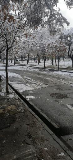 عکس بوستان آزادگان