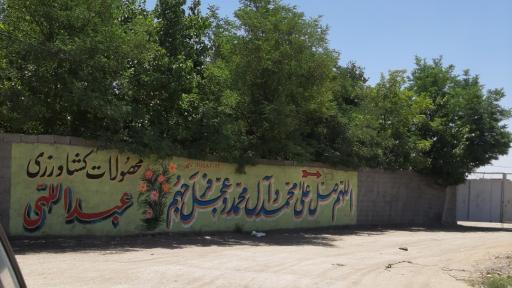 عکس محصولات کشاورزی عبدالهی