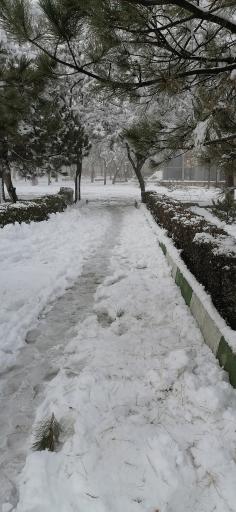 عکس بوستان آزادگان